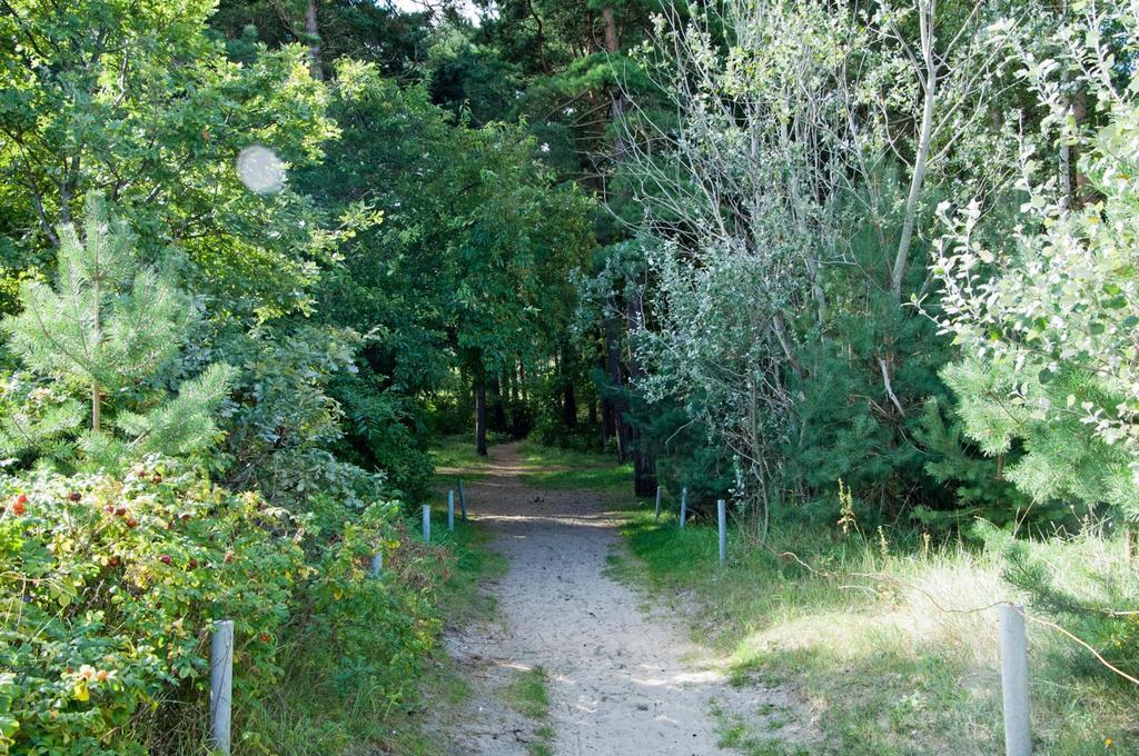 Ferienhaus Emmely Nur Wenige Gehminuten Zum Strand Ruhig Glowe Exteriör bild